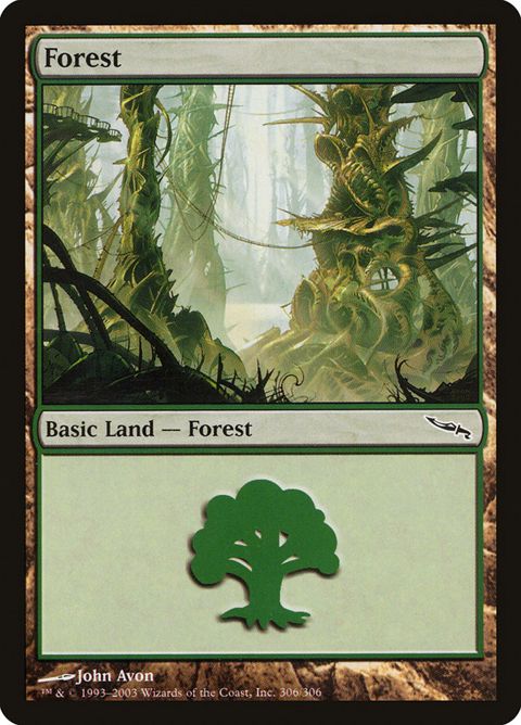 306-forest