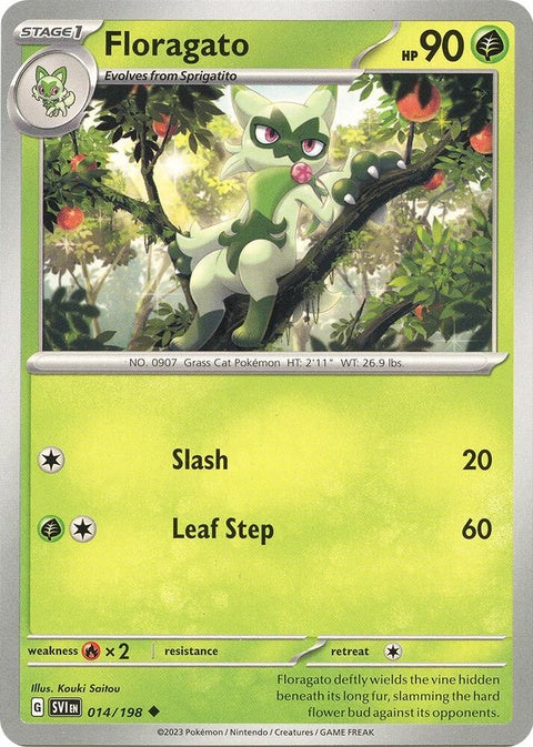 14-floragato