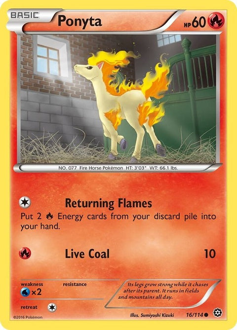 16-ponyta