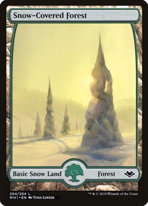 254-snowcoveredforest