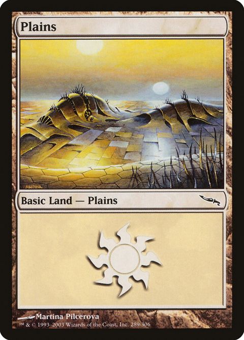 289-plains