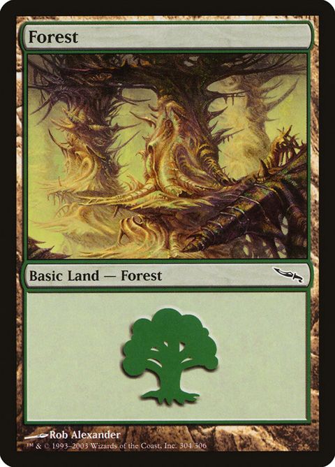 304-forest