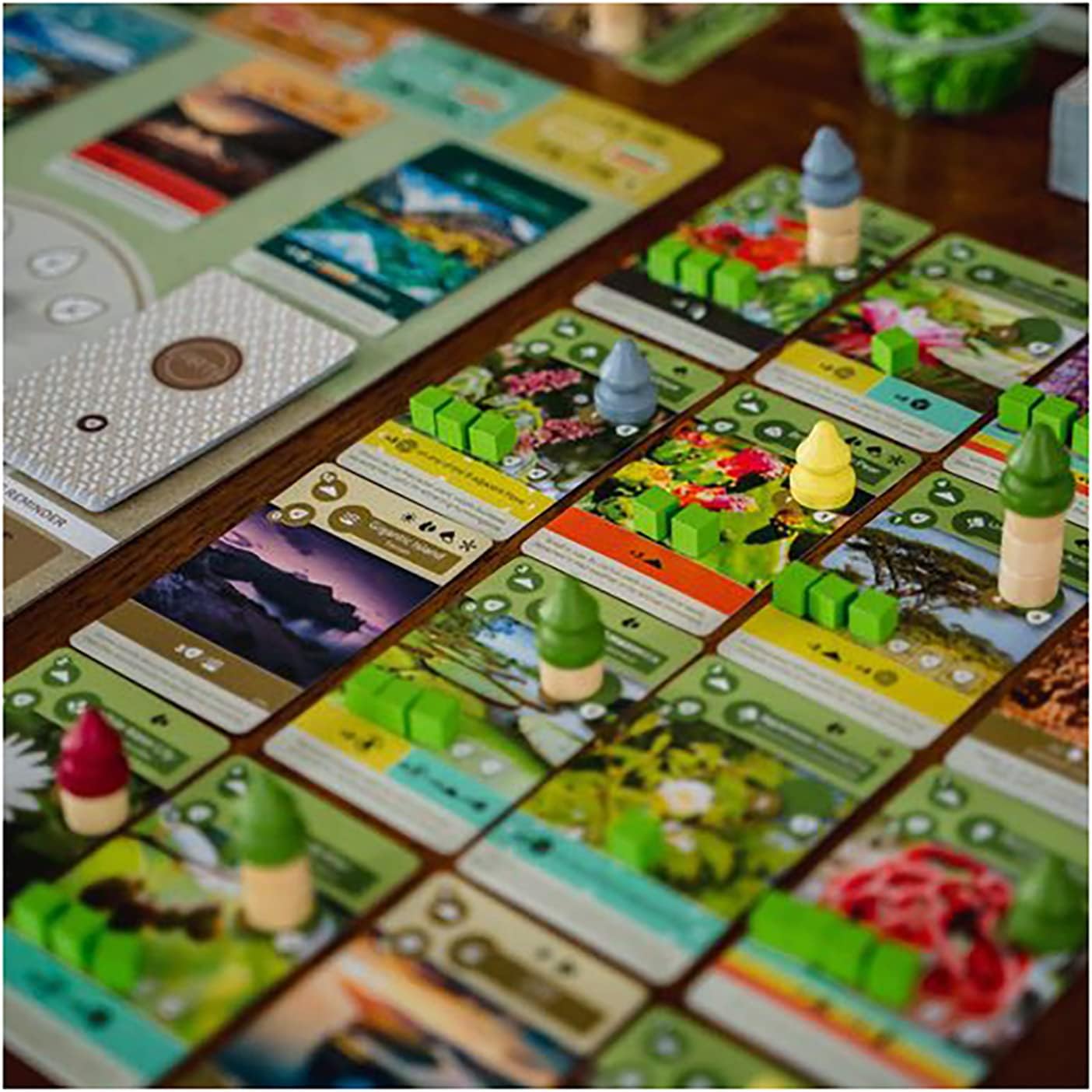 Earth | Board Game