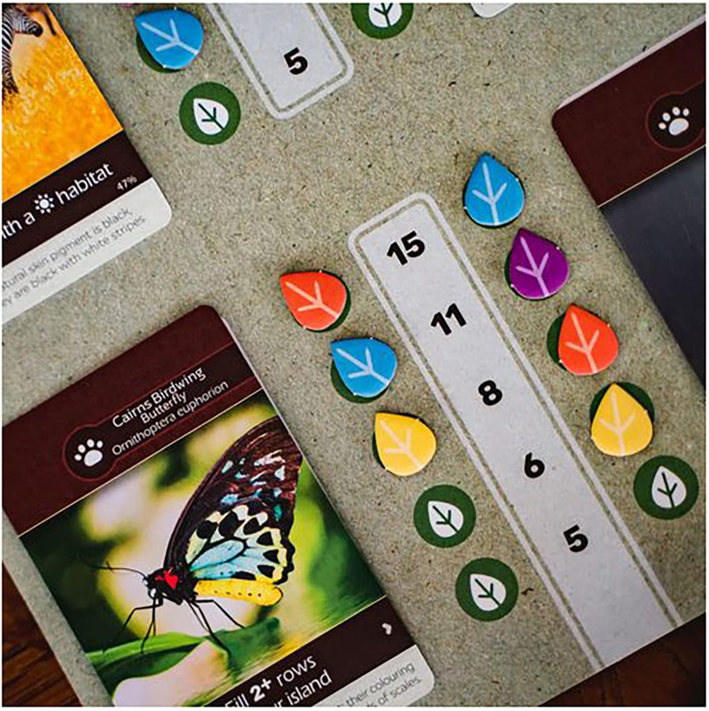 Earth | Board Game