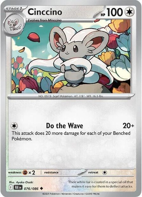 76-cinccino