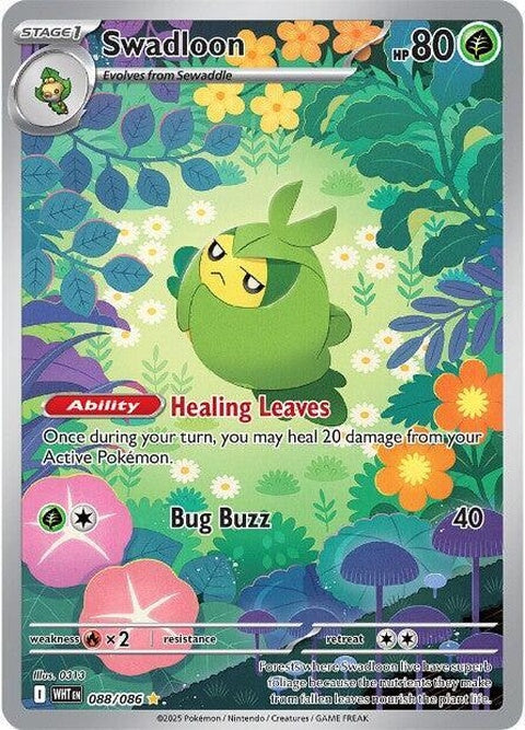 88-swadloon