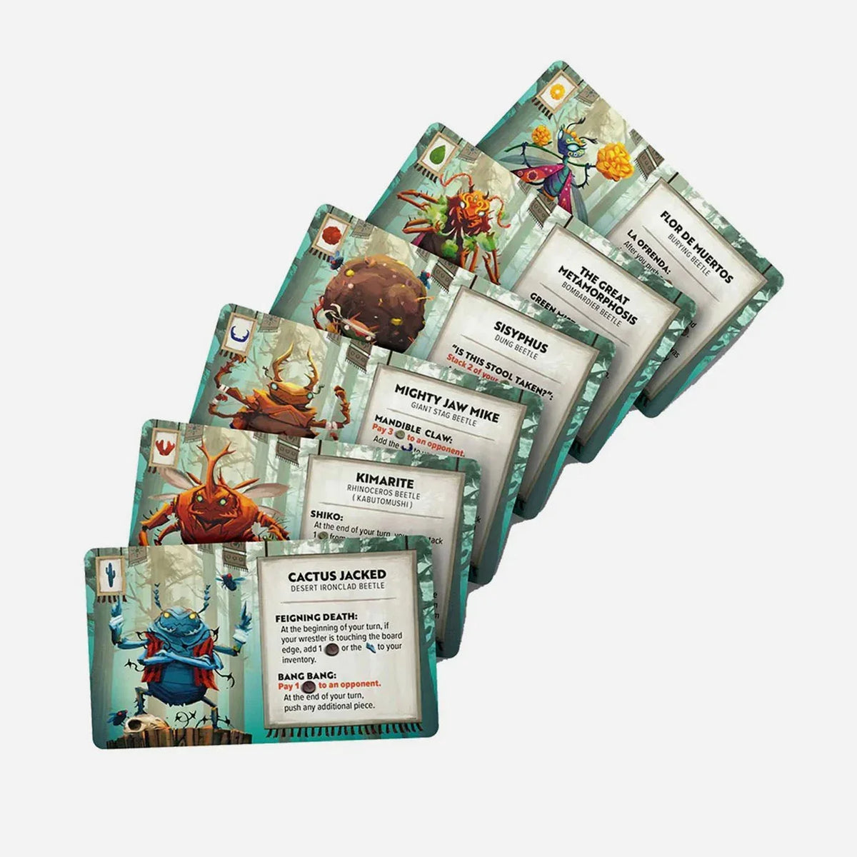 Kabuto Sumo