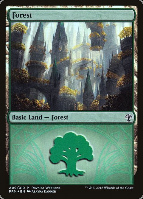 A09-forest